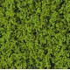 Flore Vert Printemps / Floral Spring green, 14x28cm, 200ml