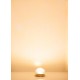 Culot d’éclairage à LED, blanc froid / Lighting fixture LED, cold white