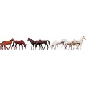 Chevaux / Horses N