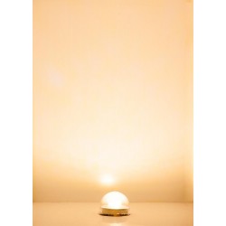 Culot d’éclairage à LED, blanc chaud / Lighting fixture LED, warm white