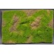 Tapis / Wild Grass Type 4