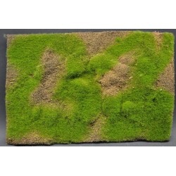 Tapis / Wild Grass Type 4