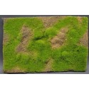 Tapis / Wild Grass Type 4