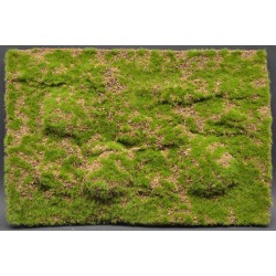 Tapis / Wild Grass & Hills Type 2