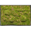 Tapis avec collines / Wild Grass & Hills Type 2