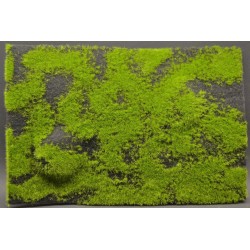 Tapis avec collines / Wild Grass & Hills Type 4