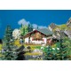 Chalet alpin / Mountain chalet H0