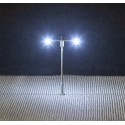Éclairage public LED, lampe en prolongement, deux bras / LED Street lighting, pole-integrated lamp, two arms N