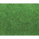Tapis vert clair gazon / Ground mat, light green