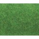 Tapis vert clair gazon / Ground mat light green, 100 x 250 cm