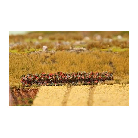 4 Haies feuillage automne / Hedges, Autumn foliage