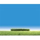 3 haies, vert clair / Hedges, light green