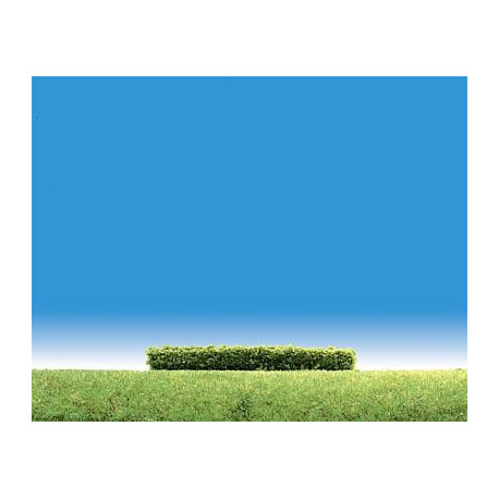 3 haies, vert clair / Hedges, light green