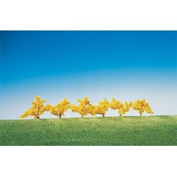 6 Forsythias, 40mm