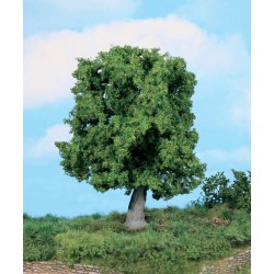 Chêne / Oak Tree, 18cm