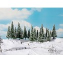 6 Sapins enneigés / 6 Snowy Fir Trees, 14 – 18 cm