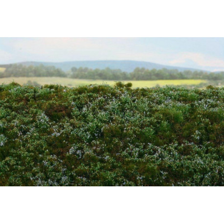 Autumn Meadow