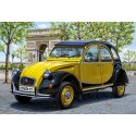 Citroen 2CV Charleston 1/24