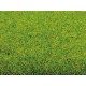 Tapis Gazon Printemps / Grass Mat “Spring Meadow”