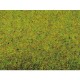 Tapis Gazon Eté / Grass Mat “Summer Meadow”