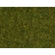 Herbe pré / Scatter Grass Meadow, 1,5 mm 20 gr