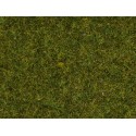 Herbe pré / Scatter Grass Meadow, 1,5 mm 20 gr