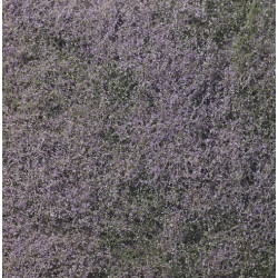 Flowering Foliage Purple 464cm²