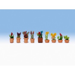 Pots de fleurs / Ornamental Plants in Pots N