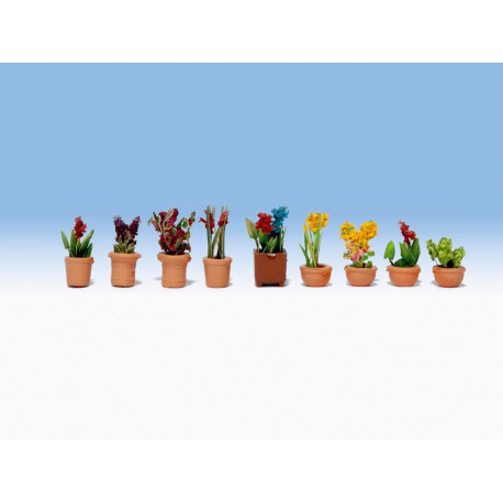 Pots de fleurs / Ornamental Plants in Pots N