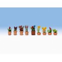 Pots de fleurs / Ornamental Plants in Pots N