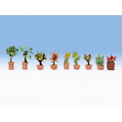 Pots de fleurs / Ornamental Plants in Tubs N
