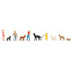 Association de sport canin / Dog sport association H0