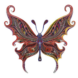 Papillon Illusionniste