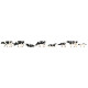 Vaches, frisonnes pies noires / Cows, Friesian H0