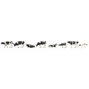 Vaches, frisonnes pies noires / Cows, Friesian H0