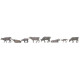 Vaches de montagnes / Mountain cows H0