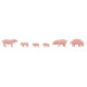 Porcs / Pigs H0