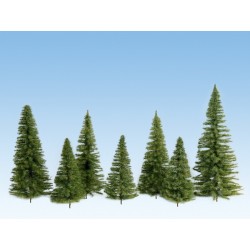 40 sapins de 7-14 cm