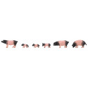 6 Porcs de Schwäbisch Hall / 6 Swabian-Hall swine H0