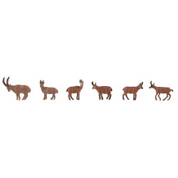 Bouquetins et chamois / Ibexes and chamois H0