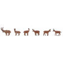 Bouquetins et chamois / Ibexes and chamois H0