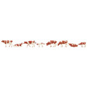 Vaches, tachetées brunes / Cows, brown flecked H0