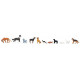 Chiens et chats / Dogs and cats
