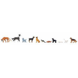 Chiens et chats / Dogs and cats