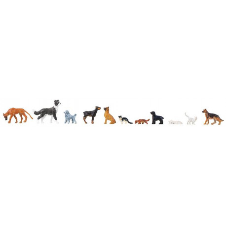 Chiens et chats / Dogs and cats