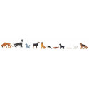 Chiens et chats / Dogs and cats H0