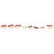 Vaches, tachetées brunes / Cows, brown flecked N