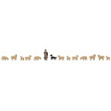 Être berger / Sheep farming N