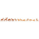 Daims, Cerfs / Fallow deer, red deer N