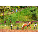 4 Clôtures de jardin et de champ / 4 Garden and field fences